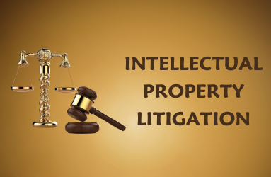 A Guide to Intellectual Property Litigation