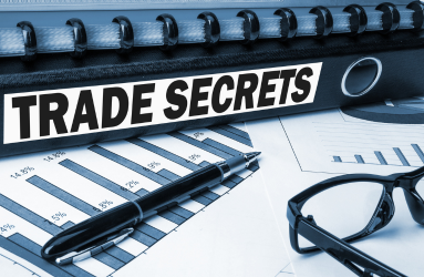 Intellectual Property and the Role of Trade Secrets