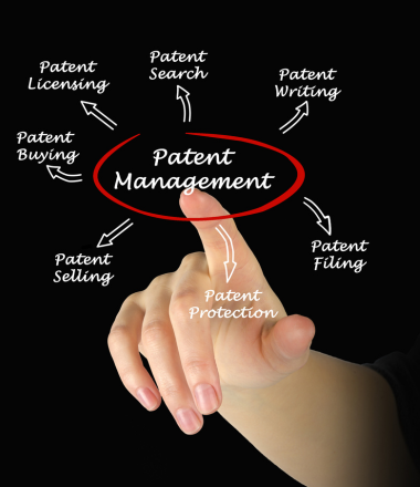 image of Guidelines for GCC Patent Application