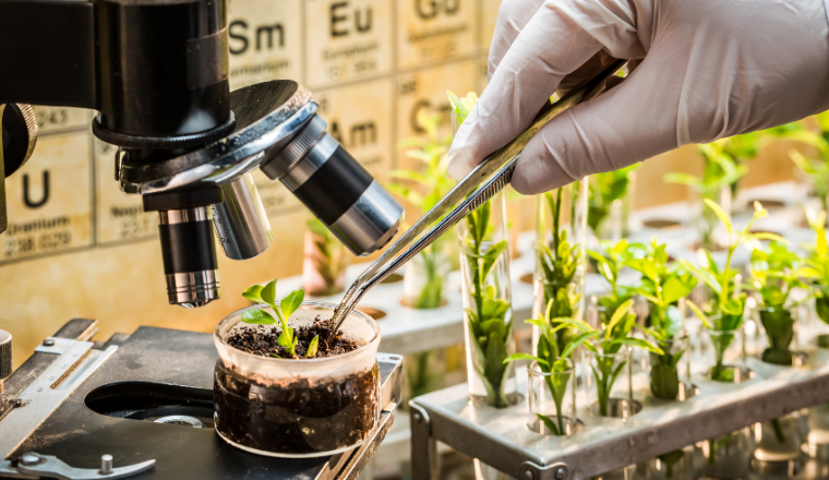 image of Plant Variety Protection