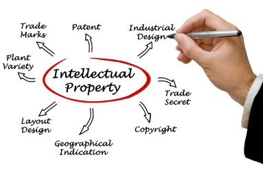 Beyond Patents and Trademarks: Exploring Lesser-Known Aspects of Intellectual Property Protection