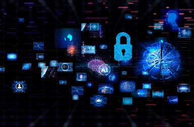 Intellectual Property Protection for Artificial Intelligence