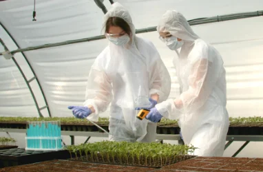 Protection of Plant Varieties in the Middle East