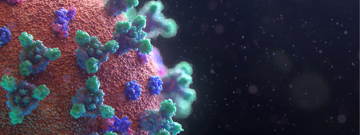 image of the cells of a micro organism similar to coronavirus