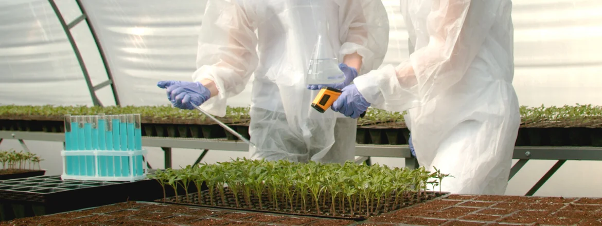 image of scientist working on protection of plant varieties
