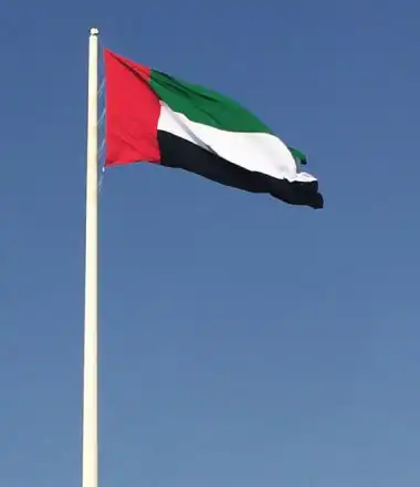 uae flag