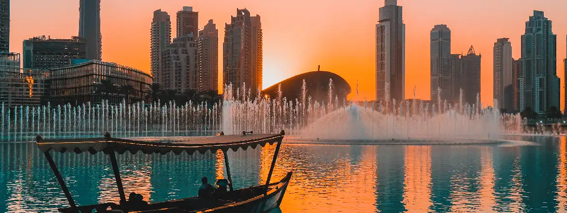 uae ip services reduced